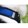 Axaeco X Shirt Harness 2.0 Blue imbracatura per sleddog e canicross