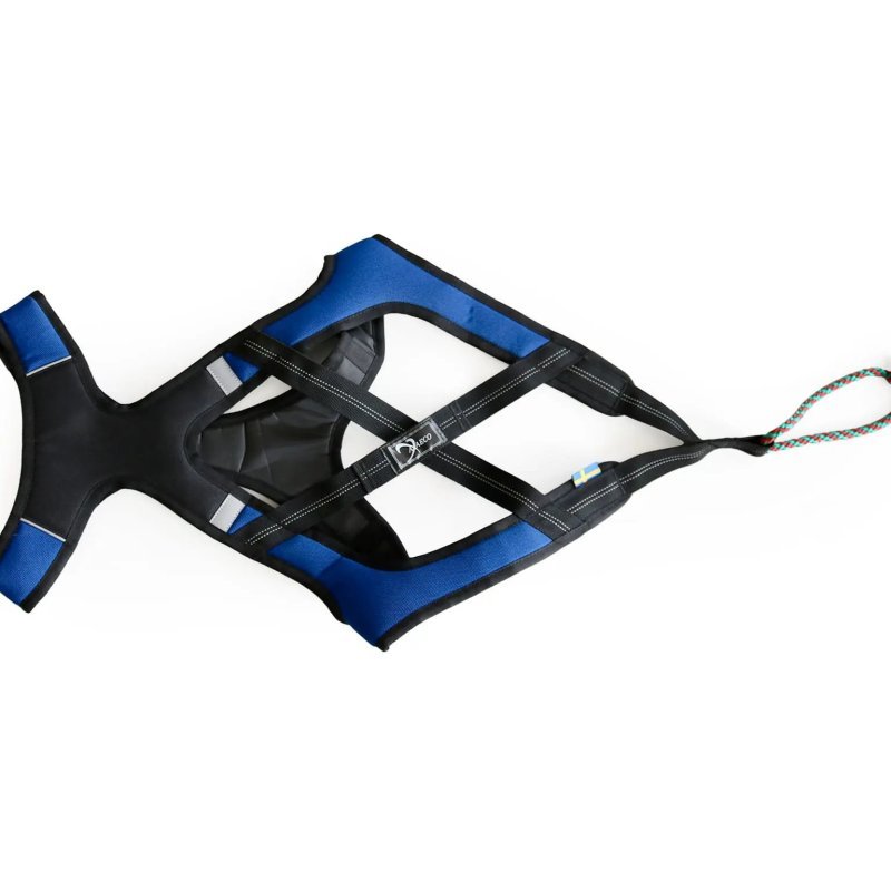 Axaeco X Shirt Harness 2.0 Blue imbracatura per sleddog e canicross