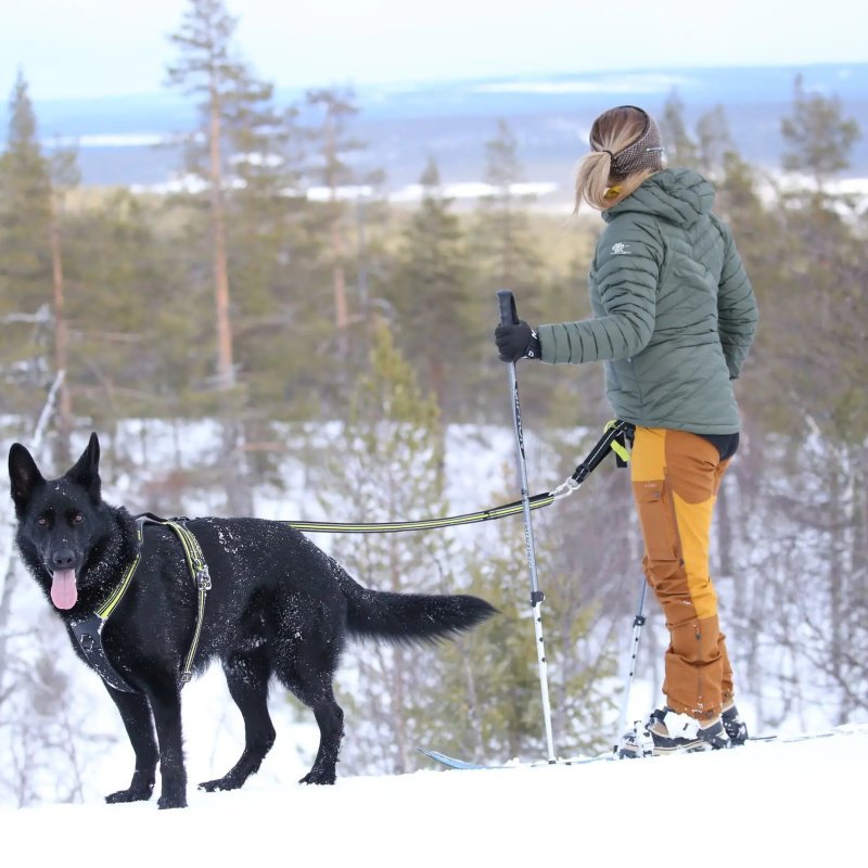 Axaeco Racing Belt cintura per canicross e skijoring