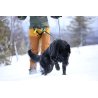 Axaeco Racing Belt cintura per canicross e skijoring
