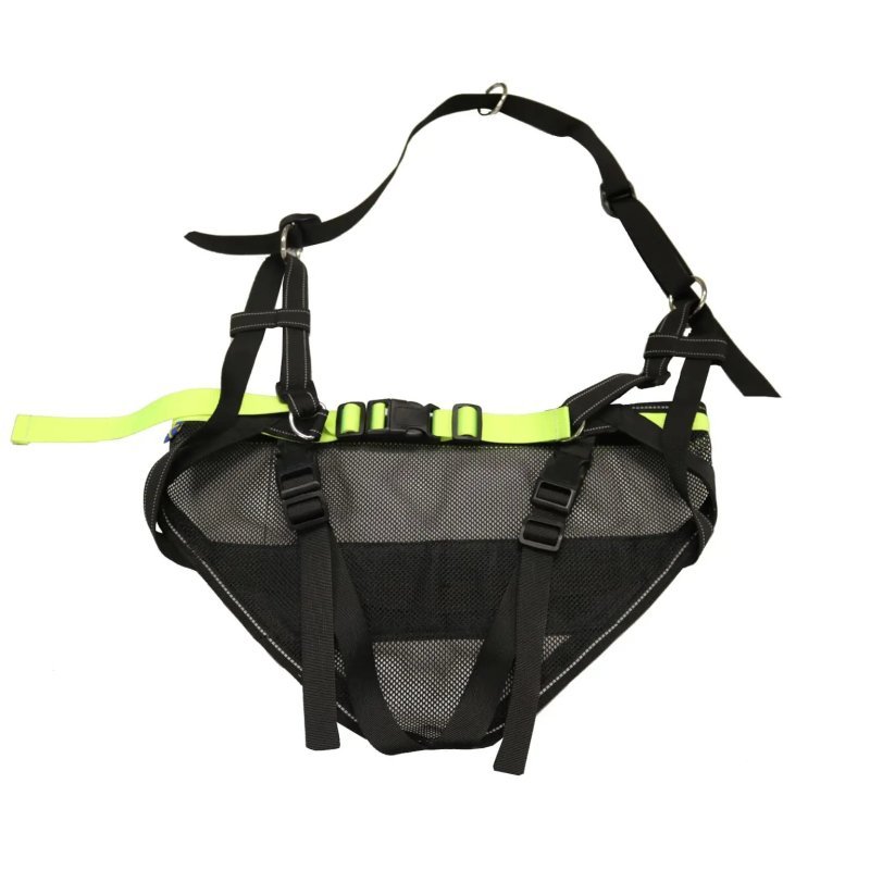 Axaeco Racing Belt cintura per canicross e skijoring