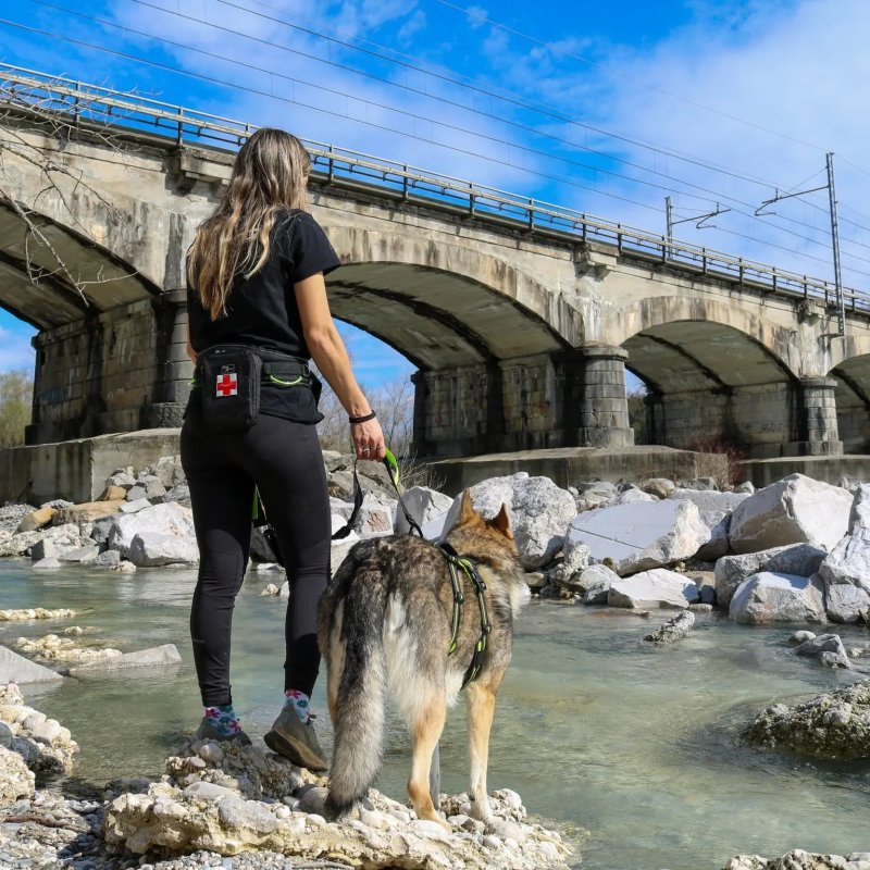 Axaeco Kit Primo Soccorso per cani