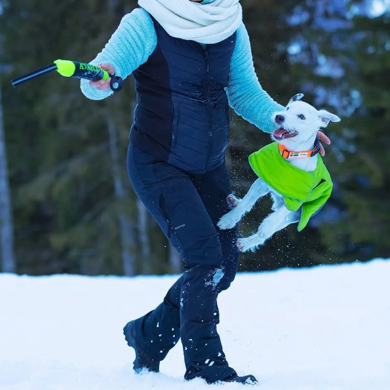 Axaeco Pippen manicotto addestramento per cani