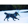Axaeco Pippen manicotto addestramento per cani