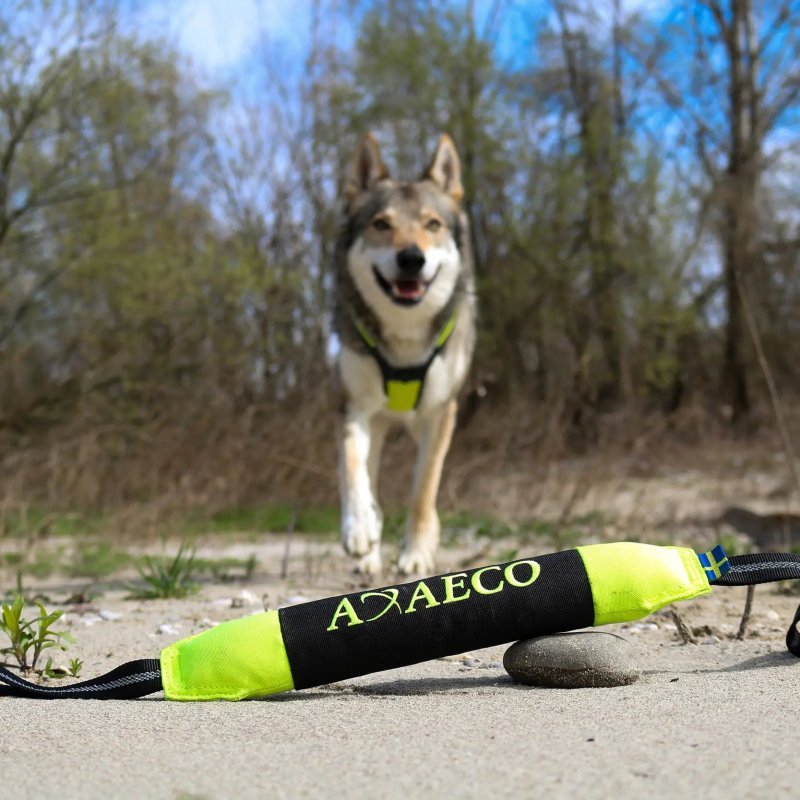 Axaeco Pippen manicotto addestramento per cani