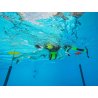 Axaeco Aqua Dog Life Jacket giubbotto salvagente per cani