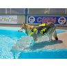 Axaeco Aqua Dog Life Jacket giubbotto salvagente per cani