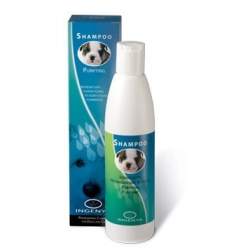 Ingenya Shampoo Igienizzante per cani ULTIMI PEZZI