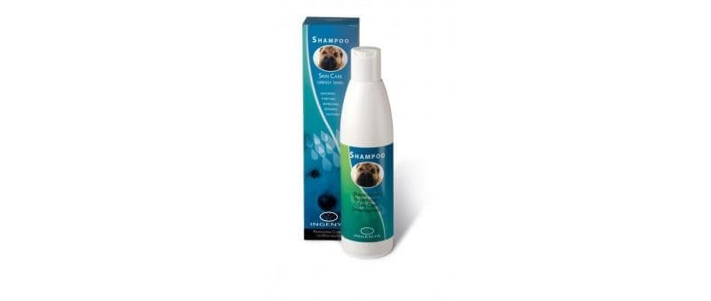 Ingenya Shampoo Dermatologico Cute Grassa per cani