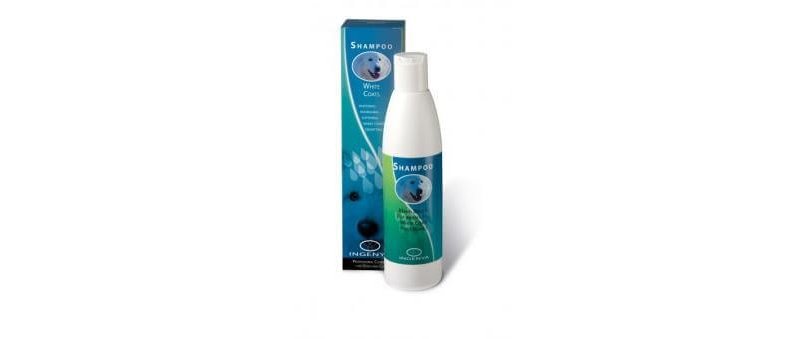 Ingenya Shampoo Mousse Manti Bianchi per cani ULTIMI PEZZI