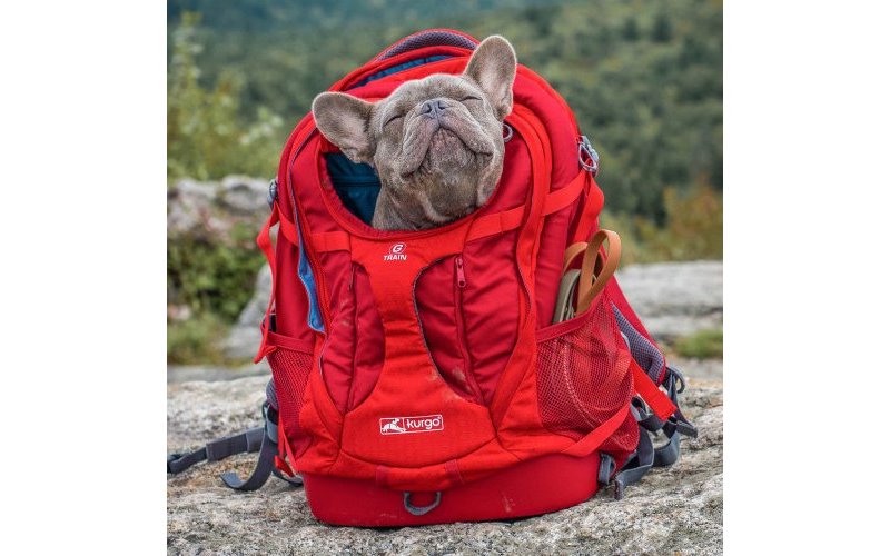 Kurgo Zaino Trasportino G-Train per cani e gatti