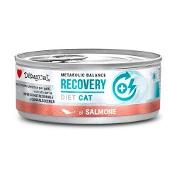 Disugual Recovery Salmone 85g umido dietetico gatto