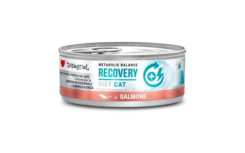 Disugual Recovery Salmone 85g umido dietetico gatto