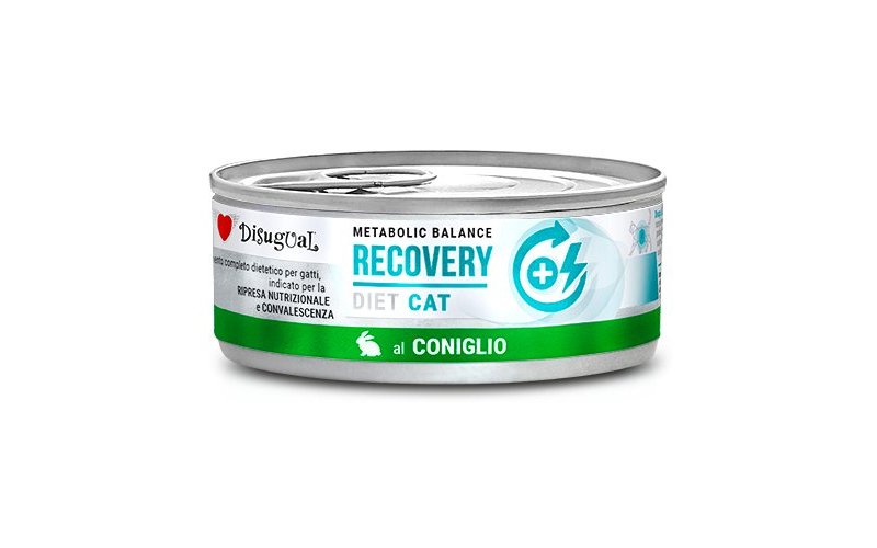 Disugual Recovery Coniglio 85g umido dietetico gatto