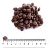 Prolife Sterilised Mini Merluzzo e Riso Nutrigenomic crocchette cane