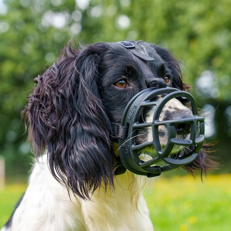 Baskerville Ultra Museruola per cani