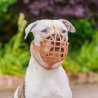 Baskerville Wide Fit Museruola per cani - AquaZooMania