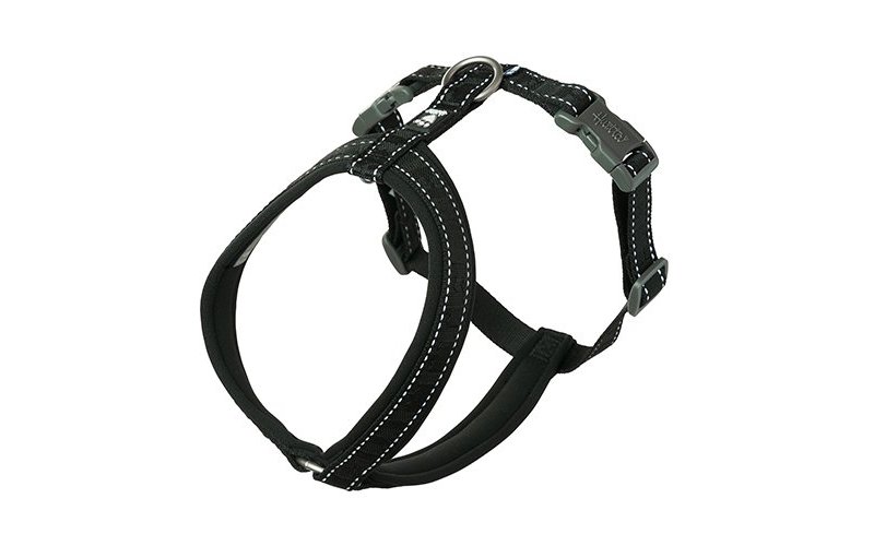 Hurtta Pettorina Casual Y Eco Certificato Ufficiale Hurtta