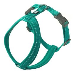 Hurtta Pettorina Casual Y Eco Certificato Ufficiale Hurtta