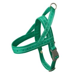 Hurtta Pettorina Casual Eco Norvegese Certificato Ufficiale Hurtta Italia