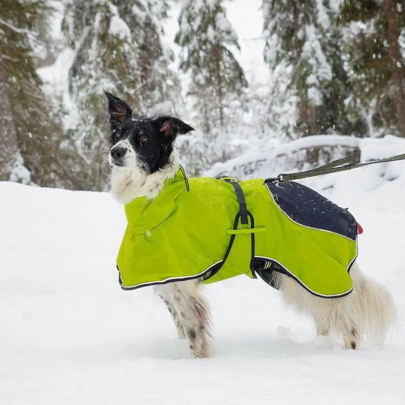 Axaeco 4 Season Dog Coat cappottino invernale per cane Axaeco 4 Season Dog Coat cappottino invernale per cane