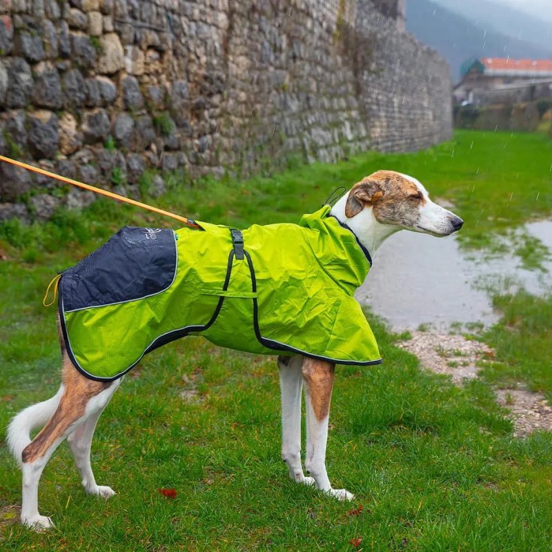 Axaeco 4 Season Dog Coat cappottino invernale per cane Axaeco 4 Season Dog Coat cappottino invernale per cane