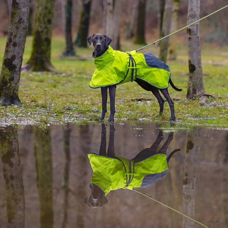 Axaeco 4 Season Dog Coat cappottino invernale per cane Axaeco 4 Season Dog Coat cappottino invernale per cane