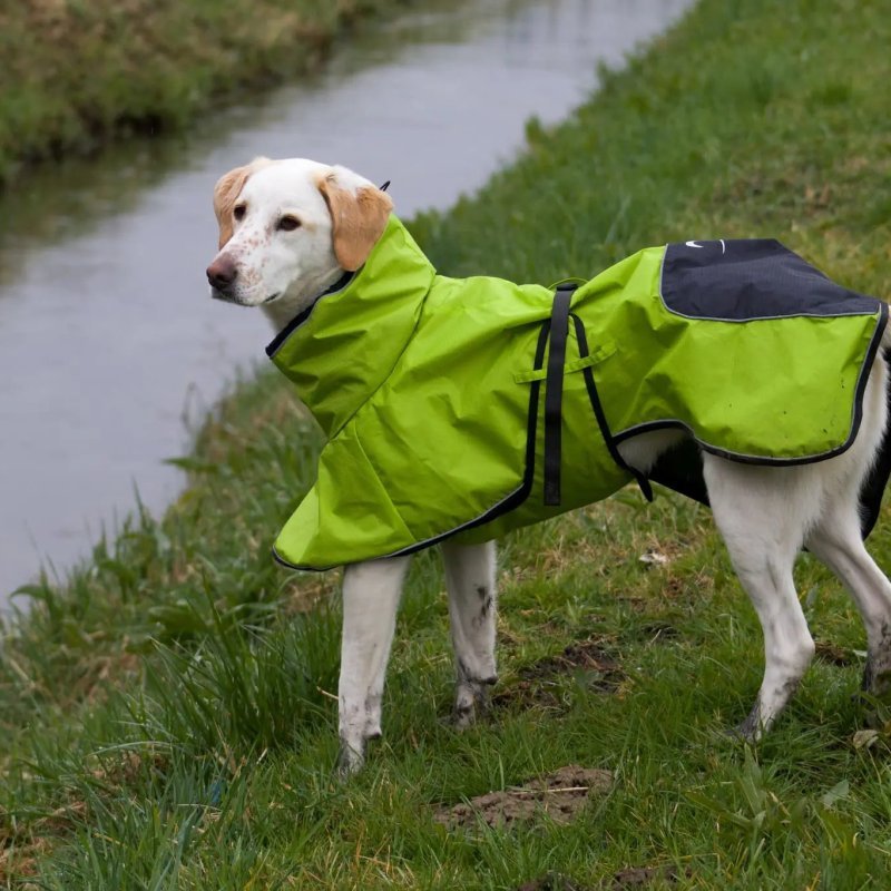 Axaeco 4 Season Dog Coat cappottino invernale per cane Axaeco 4 Season Dog Coat cappottino invernale per cane