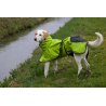 Axaeco 4 Season Dog Coat cappottino invernale per cane Axaeco 4 Season Dog Coat cappottino invernale per cane