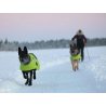 Axaeco Ice-Olation 2.0 Dog Coat cappottino invernale per cane Axaeco Ice-Olation 2.0 Dog Coat cappottino invernale per cane