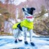 Axaeco Ice-Olation 2.0 Dog Coat cappottino invernale per cane Axaeco Ice-Olation 2.0 Dog Coat cappottino invernale per cane
