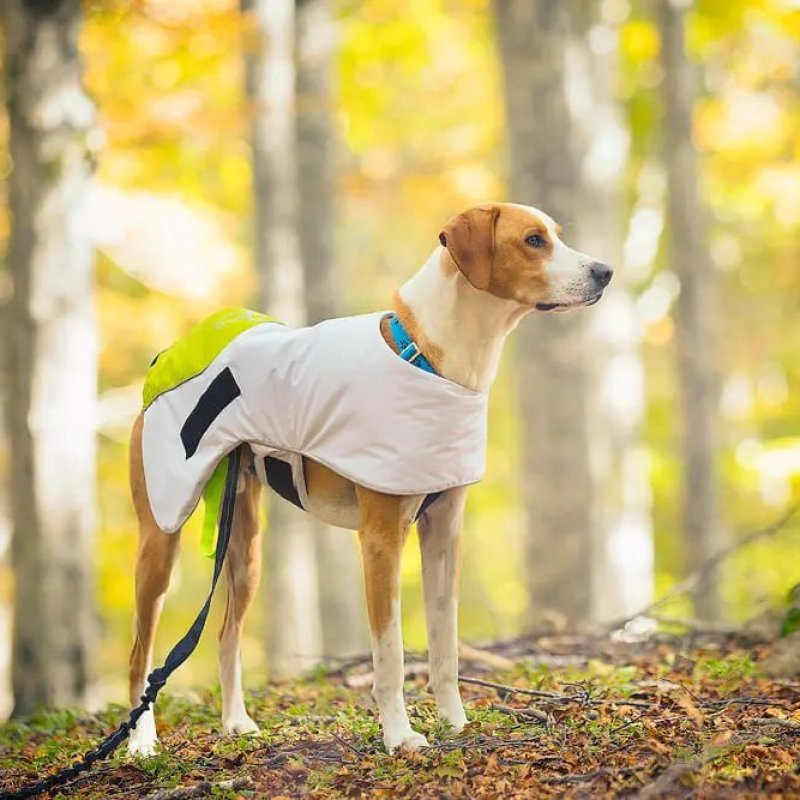 Axaeco Raincoat Windbreaker impermeabile per cane Axaeco Raincoat Windbreaker impermeabile per cane