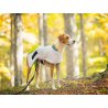 Axaeco Raincoat Windbreaker impermeabile per cane Axaeco Raincoat Windbreaker impermeabile per cane