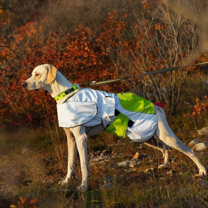 Axaeco Raincoat Windbreaker impermeabile per cane Axaeco Raincoat Windbreaker impermeabile per cane