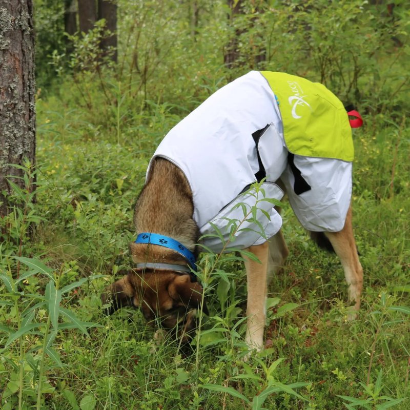 Axaeco Raincoat Windbreaker impermeabile per cane Axaeco Raincoat Windbreaker impermeabile per cane
