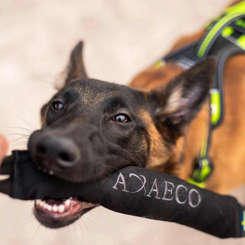 Axaeco Pippen K9 manicotto addestramento per cani Axaeco Pippen K9 manicotto addestramento per cani