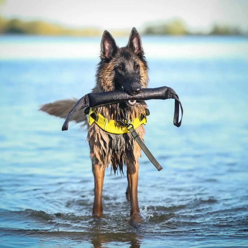 Axaeco Pippen K9 manicotto addestramento per cani Axaeco Pippen K9 manicotto addestramento per cani