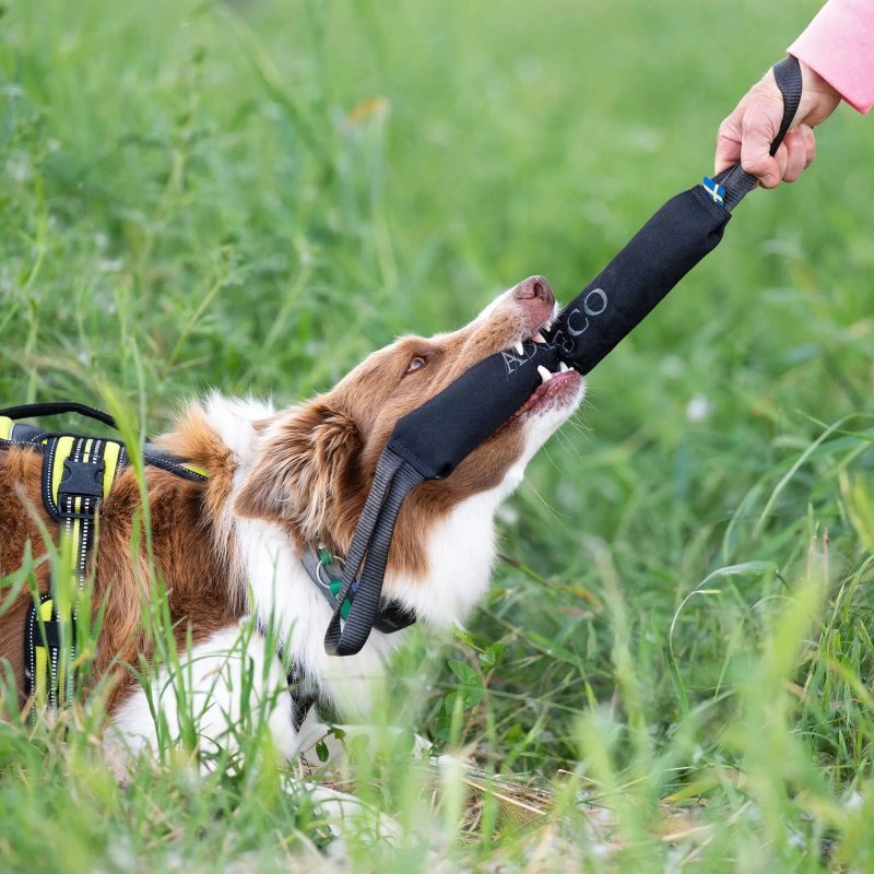 Axaeco Pippen K9 manicotto addestramento per cani Axaeco Pippen K9 manicotto addestramento per cani