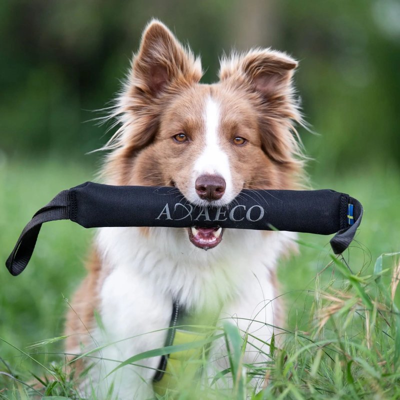 Axaeco Pippen K9 manicotto addestramento per cani Axaeco Pippen K9 manicotto addestramento per cani