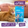 Edgard&Cooper Crunchies al Salmone 50g snack gatto
