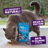 Edgard&Cooper Rolls Salmone e Pollo 45g snack gatto