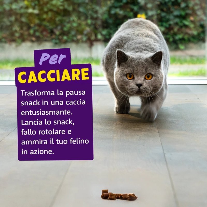 Edgard&Cooper Rolls Salmone e Pollo 45g snack gatto