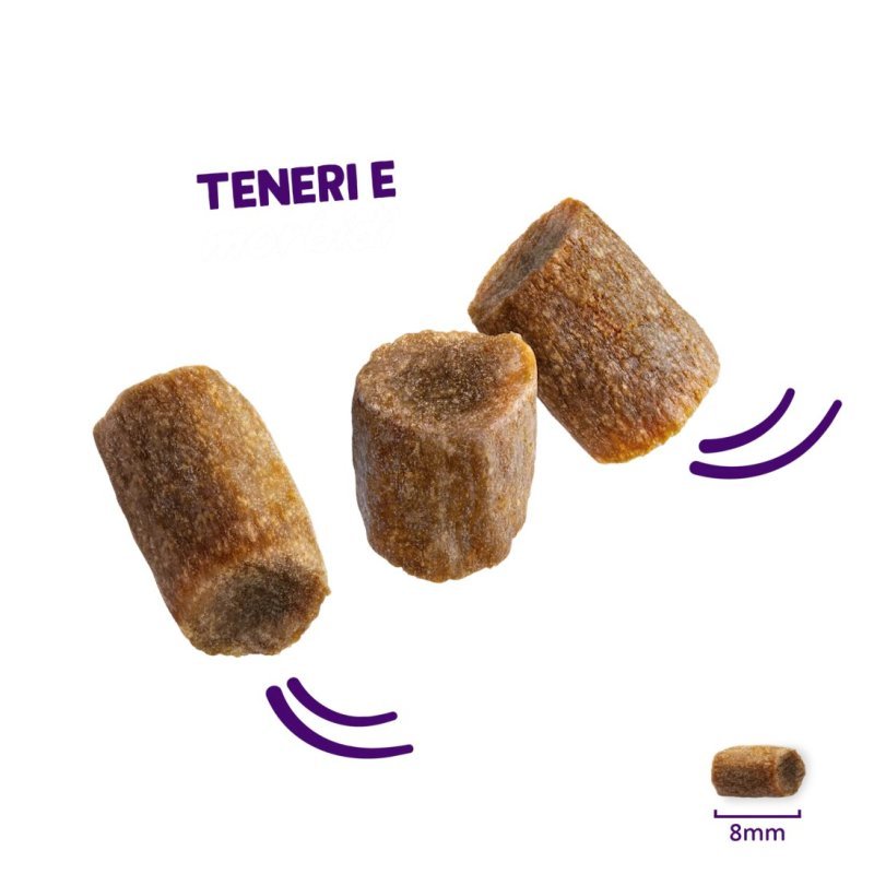 Edgard&Cooper Rolls Salmone e Pollo 45g snack gatto - AquaZooMania