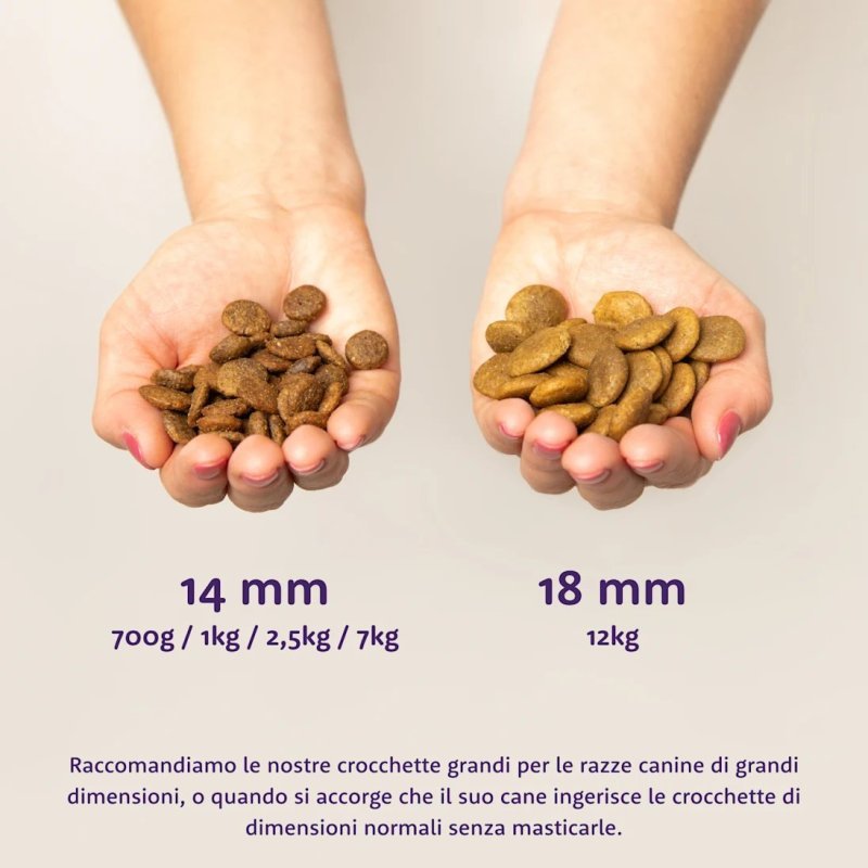 Edgard&Cooper Adult Agnello Fresco 12kg crocchette cane