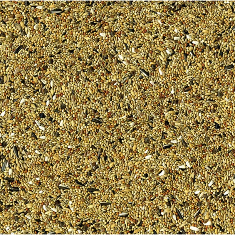 Vadigran Cockatiels & Parakeets 1kg alimento completo per calopsite