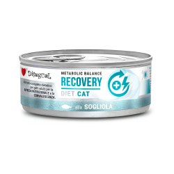 Disugual Recovery Sogliola 85g umido dietetico gatto
