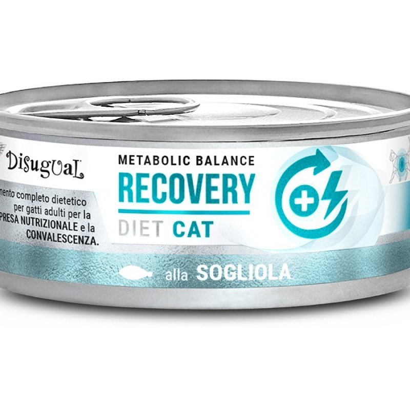 Disugual Recovery Sogliola 85g umido dietetico gatto