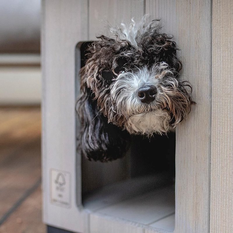 Ferplast Canile Argo cuccia cane | AquaZooMania Shop