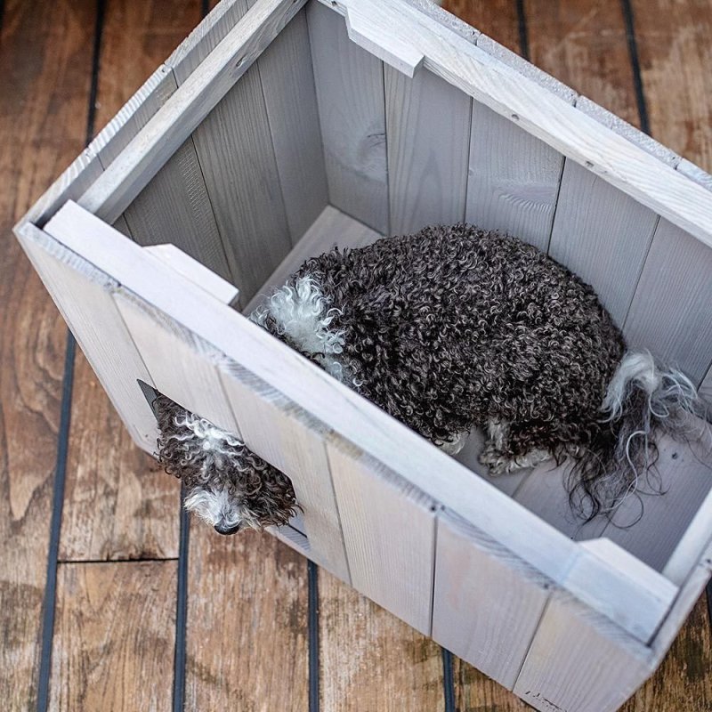 Ferplast Canile Argo cuccia cane | AquaZooMania Shop