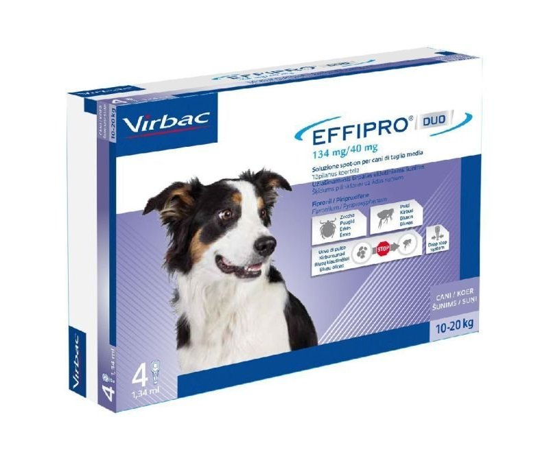 Effipro Duo cane 10-20 kg 4 pipette